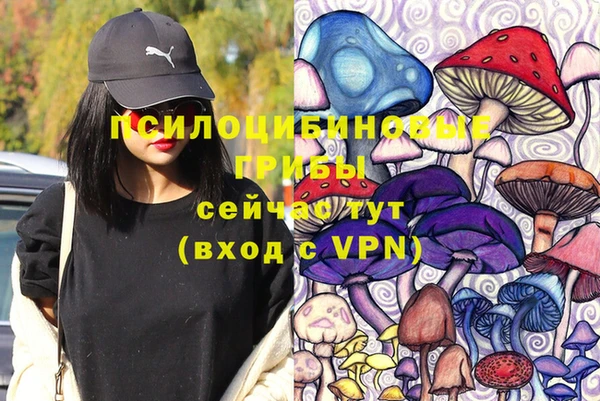 гидра Алексеевка