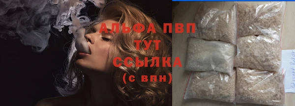 гидра Алексеевка