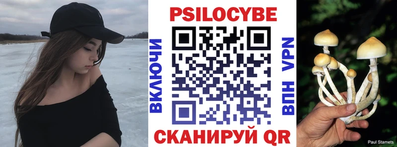 shop Telegram  Богородск  Галлюциногенные грибы Psilocybe 